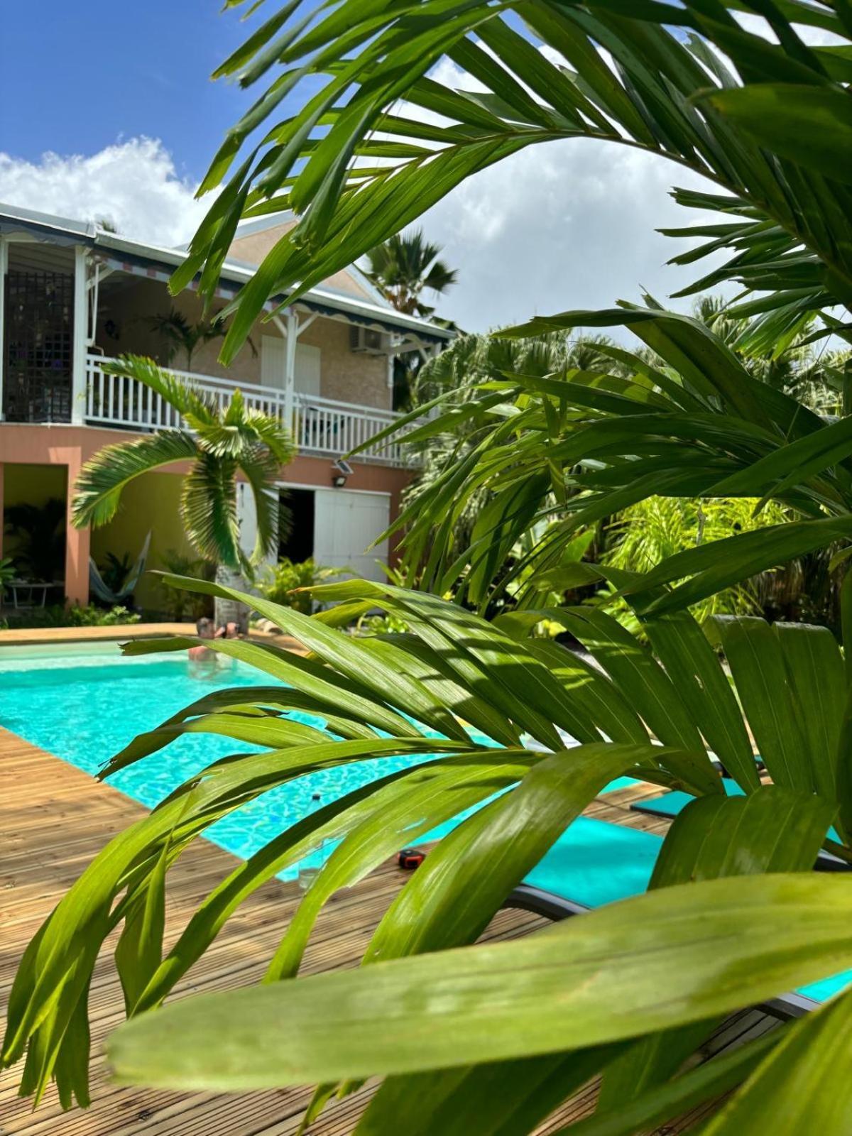 Le Petit Havre Tropical Guadeloupe, Gite, Massages & Spa Saint-Francois  Exteriör bild
