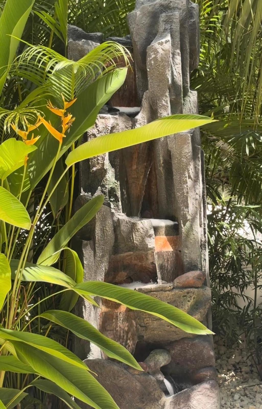 Le Petit Havre Tropical Guadeloupe, Gite, Massages & Spa Saint-Francois  Exteriör bild